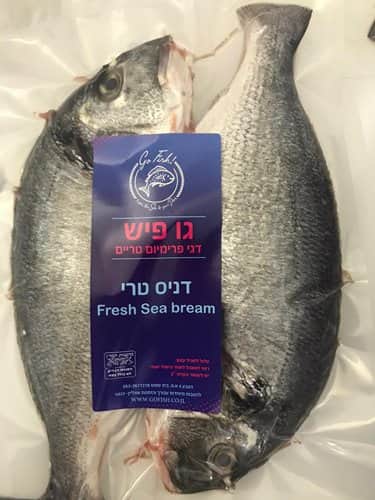 דניס נקי שלם