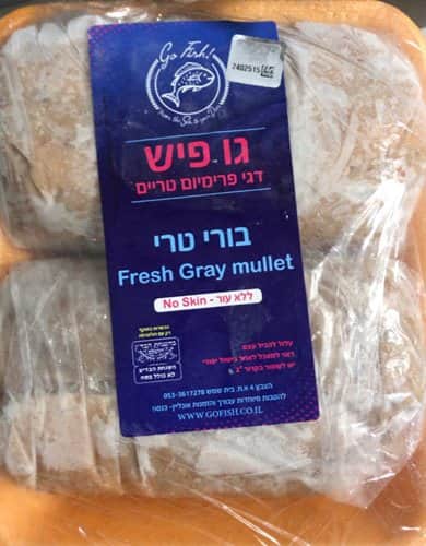 דג בורי- טחון