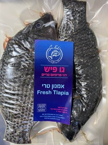 telapia אמנון שלם טרי