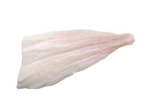 פילה הליבוט קפוא - fillet Halibut